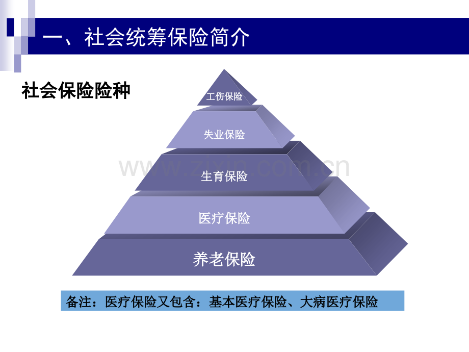 社会统筹保险培训.pptx_第2页