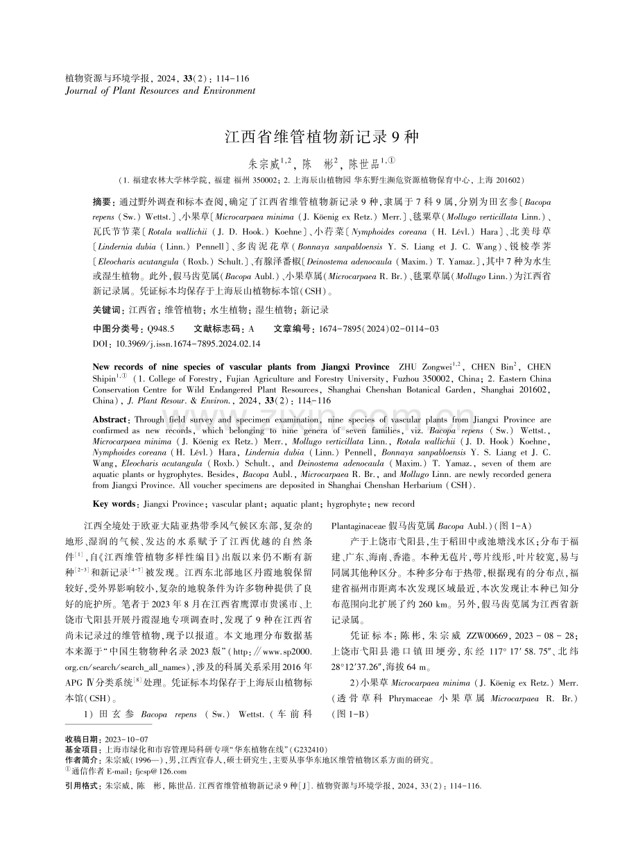 江西省维管植物新记录9种.pdf_第1页