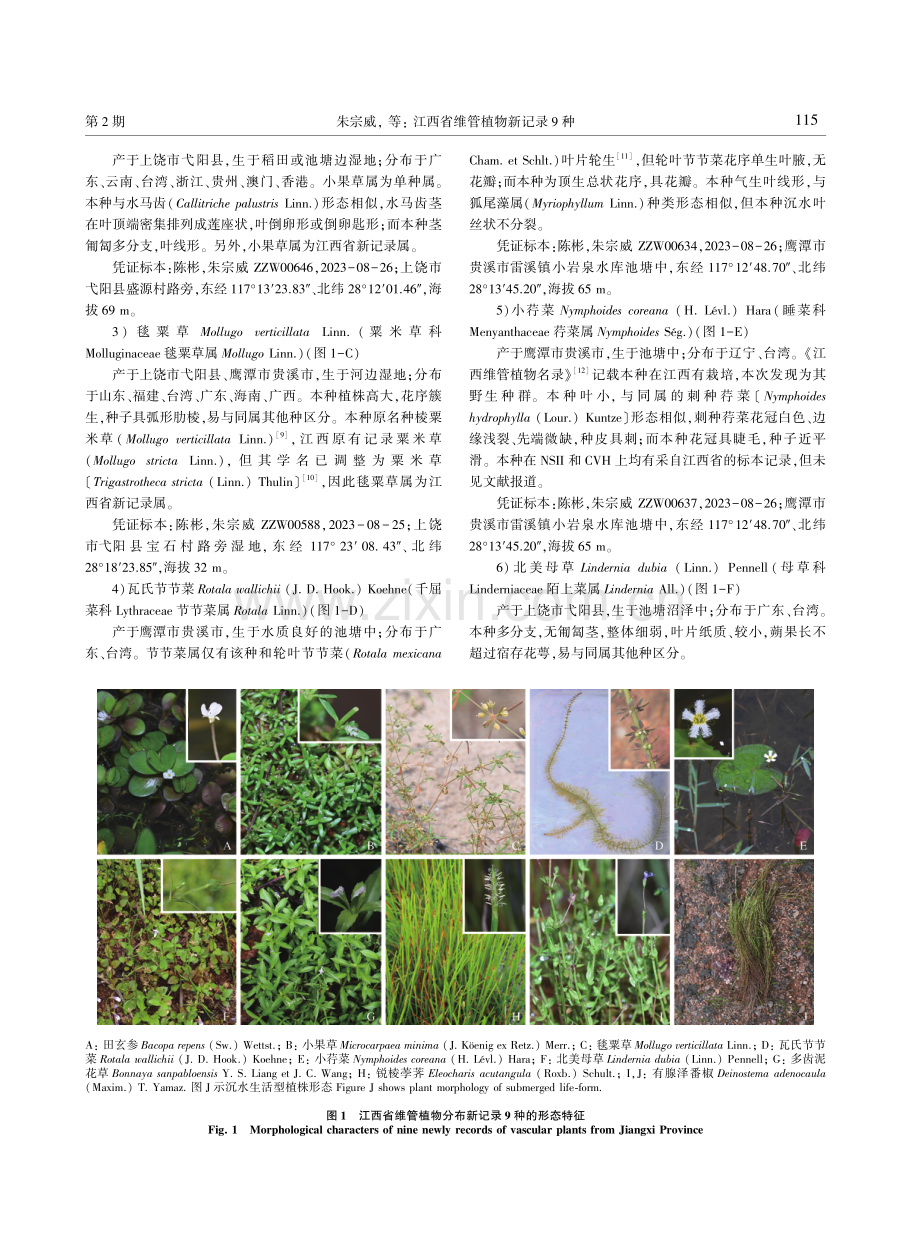 江西省维管植物新记录9种.pdf_第2页