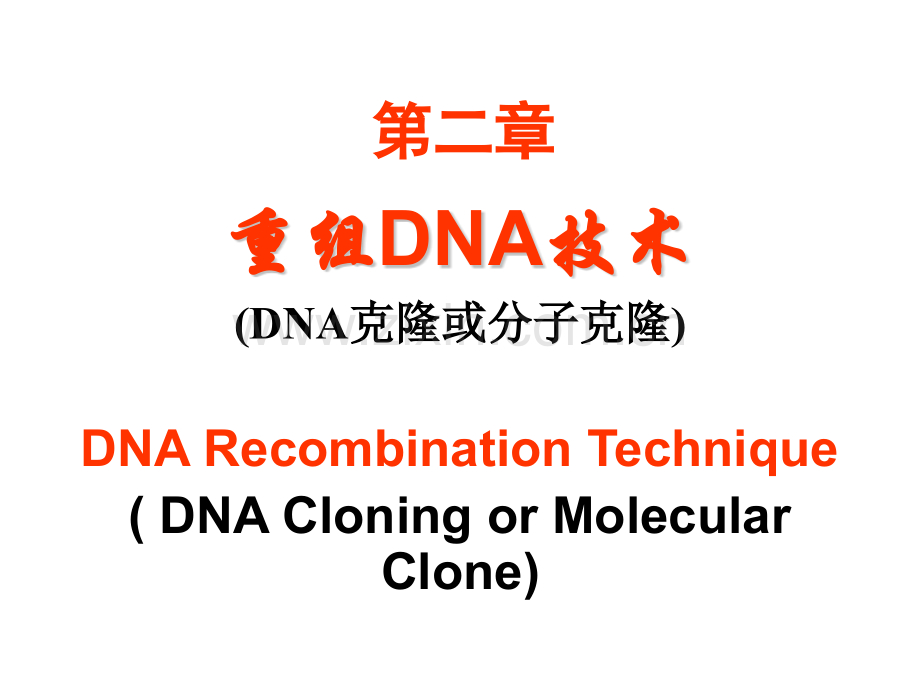 重组DNA技术20110413-分子生物学.pptx_第1页