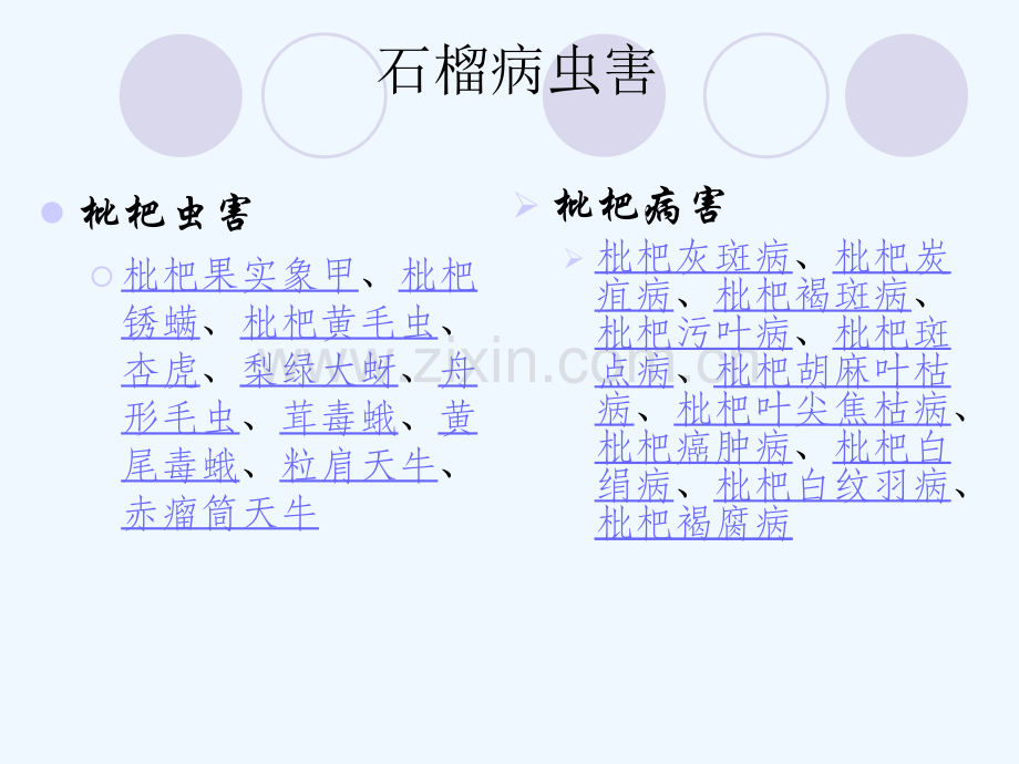 枇杷常见病虫害一览表.pptx_第1页