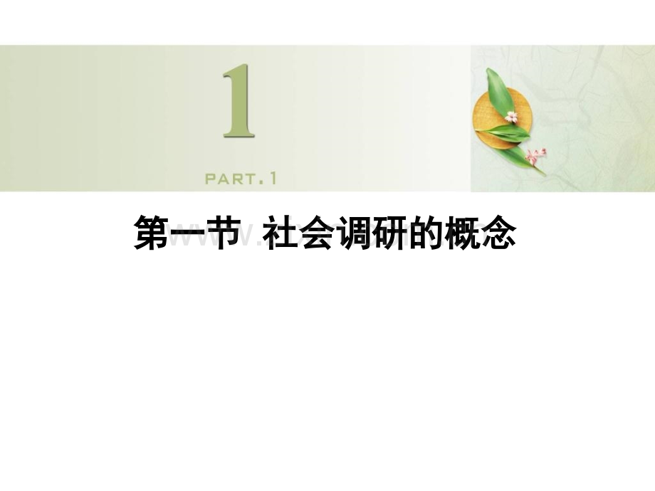 社会调研方法.pptx_第3页