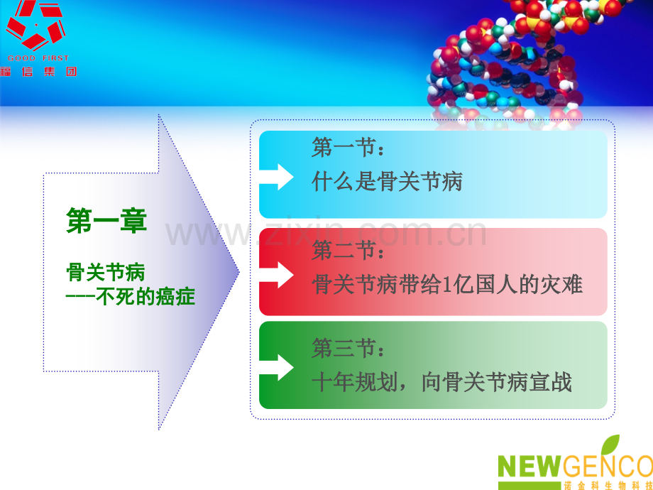 诺金科健康骨组合.pptx_第3页