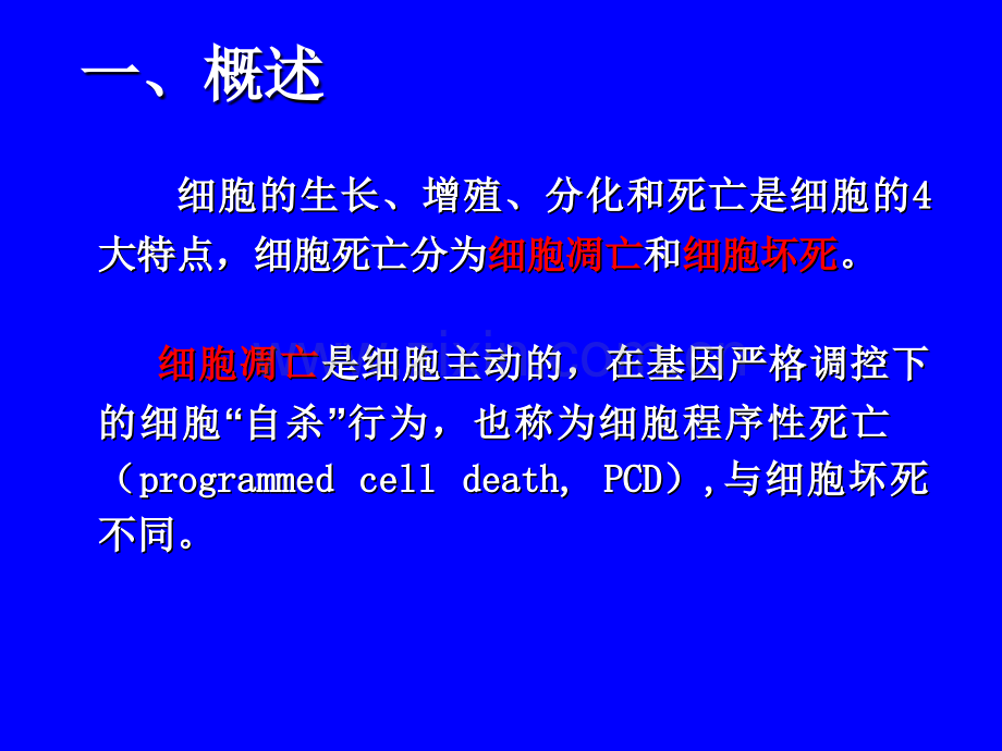 细胞生物学讲课.pptx_第3页