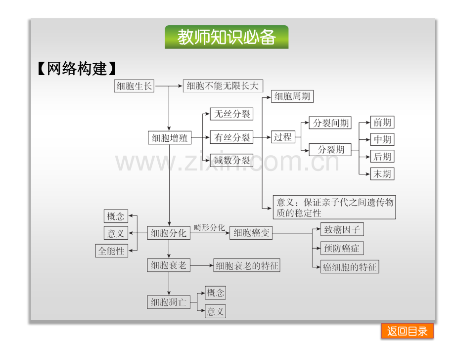 细胞的生命历程专题.pptx_第2页