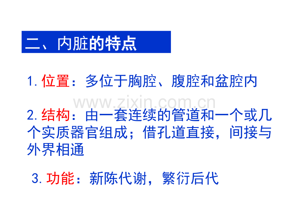 系统解剖学45内脏学消化总论各论.pptx_第3页