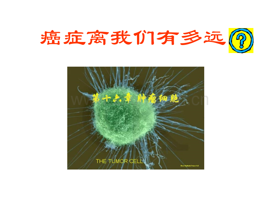 老年医学保健-科学防癌健康生活.pptx_第3页