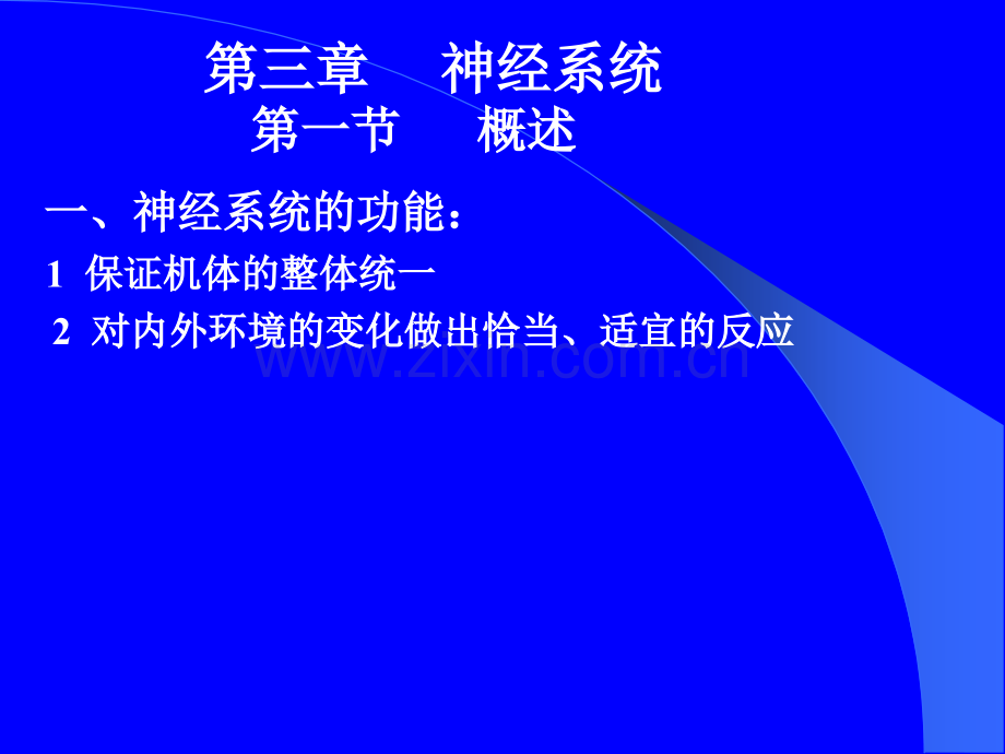 生命科学人体组织解剖学6.pptx_第2页