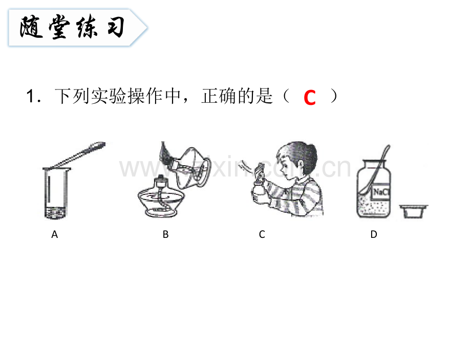 浙教版科学七年级上册科学入门总复习共46张.pptx_第3页