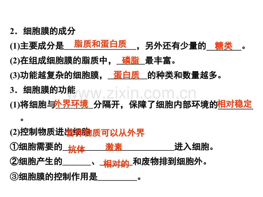 细胞膜系统的结构和功能.pptx_第2页