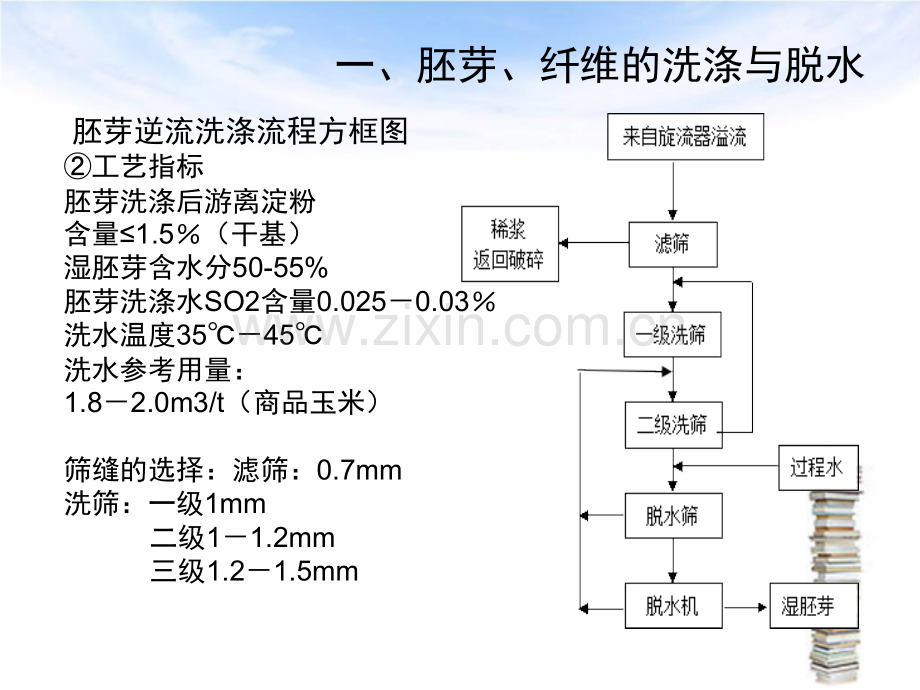 淀粉生产技术胚芽纤维的洗涤脱水与干燥.pptx_第3页