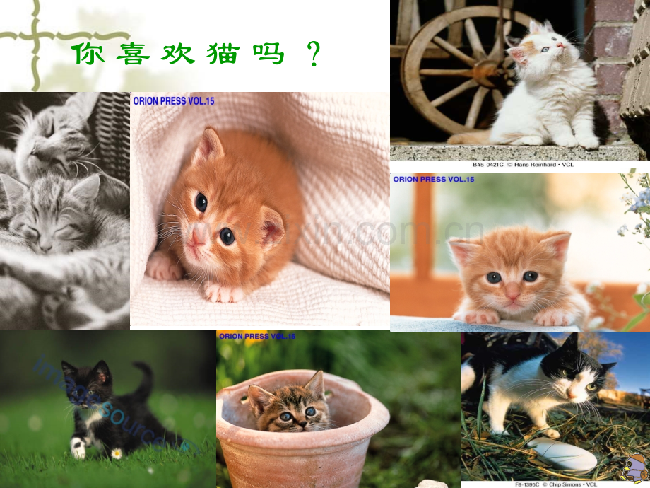 猫教学四年级上语文.pptx_第1页