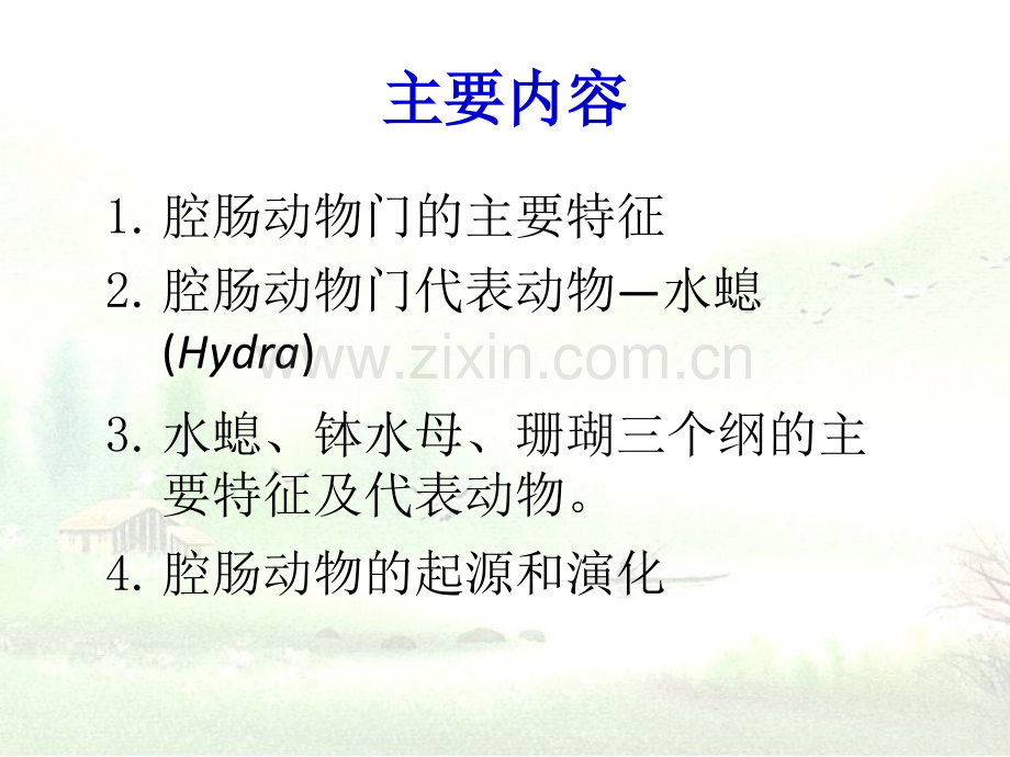 第5章腔肠动物门刺细胞动物门.pptx_第2页