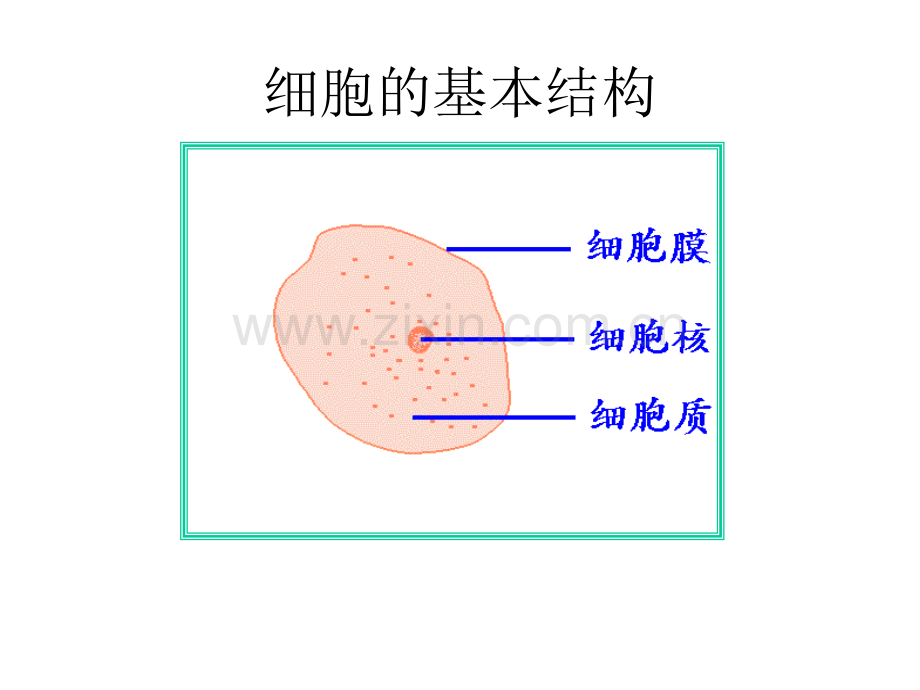 细胞膜系统边界课件李长永.pptx_第2页