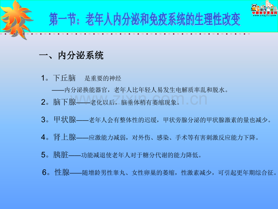 老年护理学课件老年人内分泌及免疫系统的变化及护理人卫版.pptx_第3页