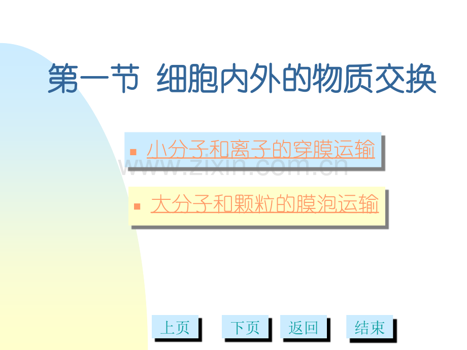 细胞的物质运输多媒体.pptx_第1页