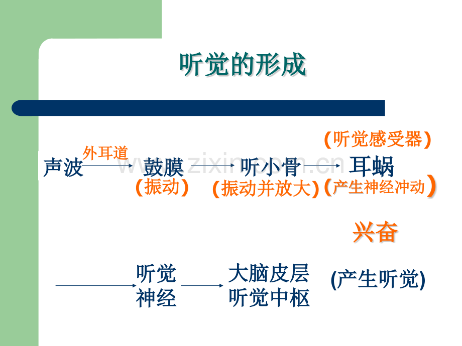 老年耳聋.pptx_第3页