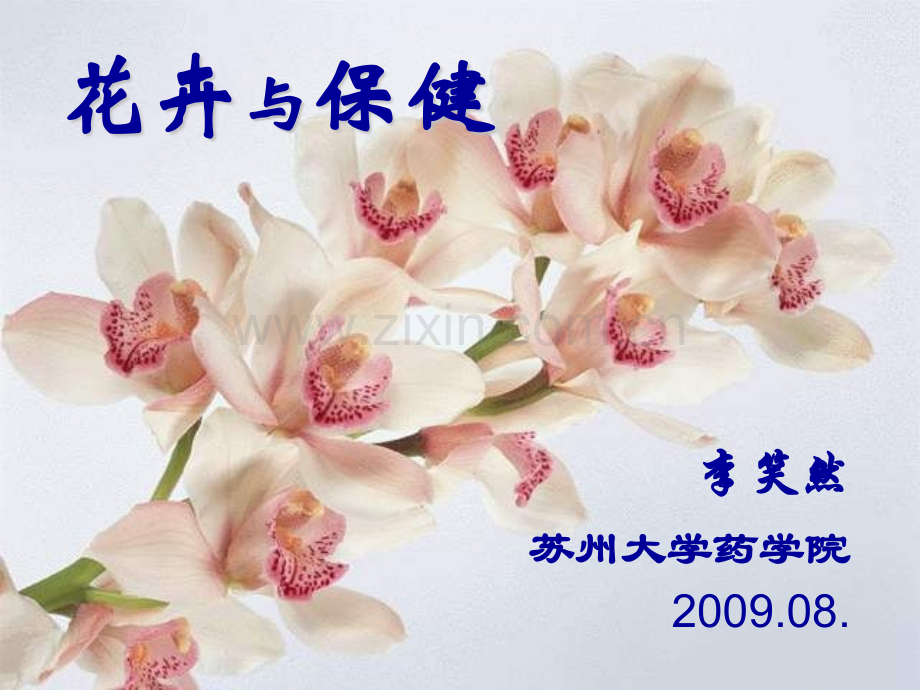 花卉与保健2009.pptx_第1页