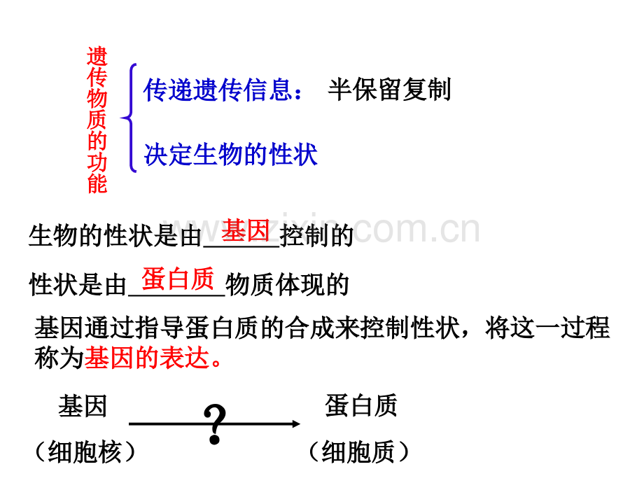 第四节基因的表达.pptx_第1页