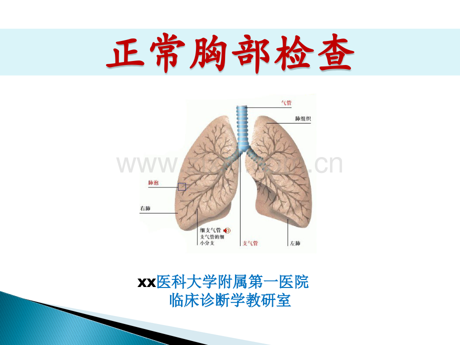 诊断学教学胸部查体.pptx_第1页