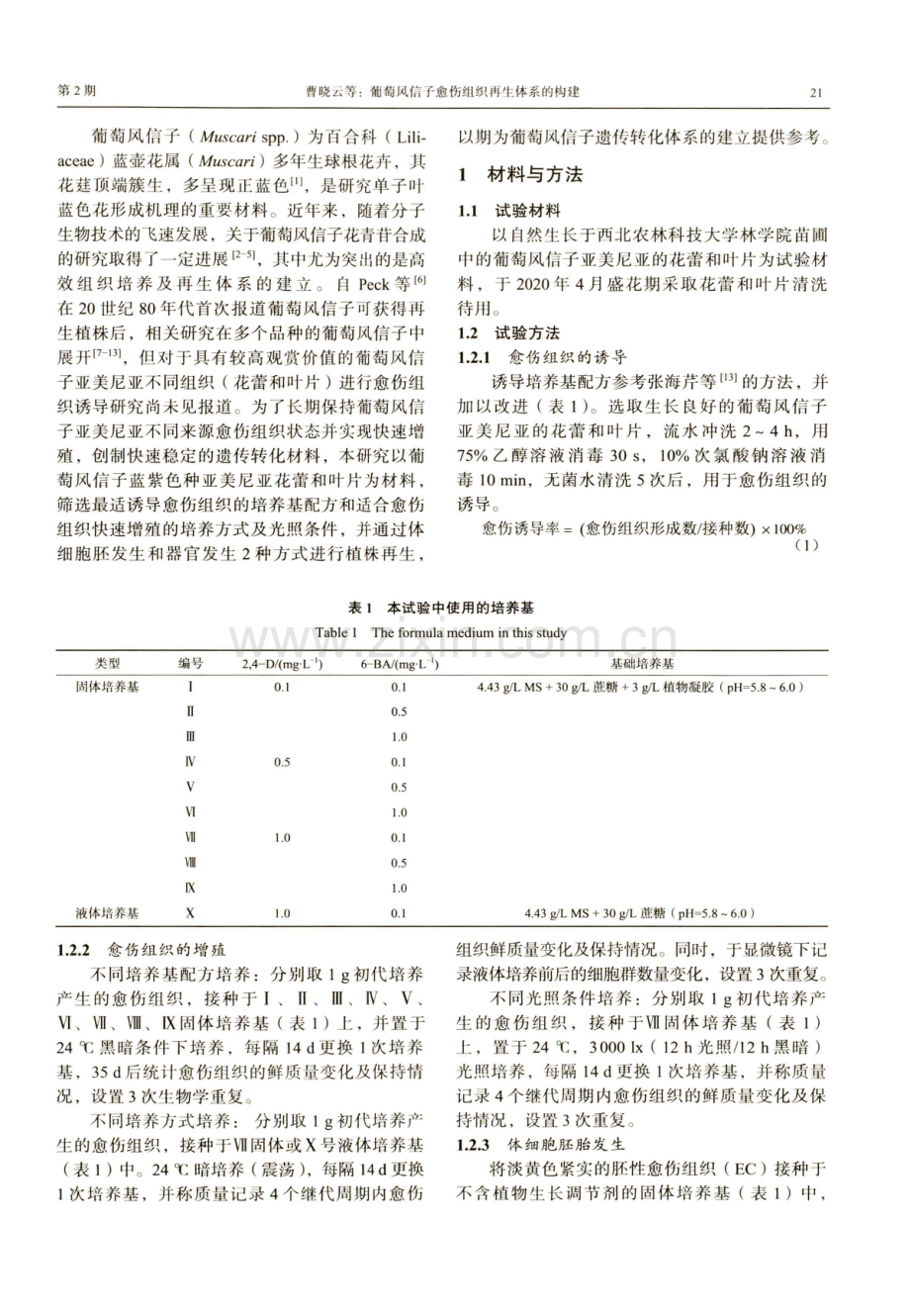 葡萄风信子愈伤组织再生体系的构建.pdf_第2页