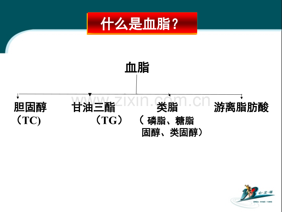 稳定性冠心病患者降脂治疗.pptx_第2页