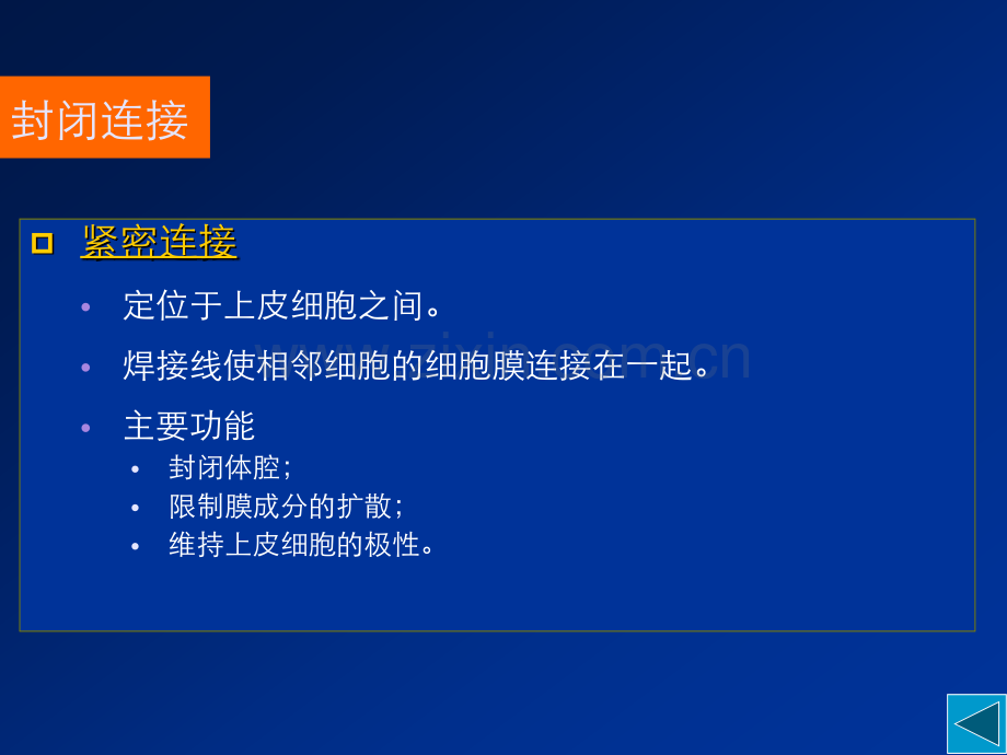 细胞社会的联系细胞连接细胞黏着和细胞外基质2.pptx_第1页