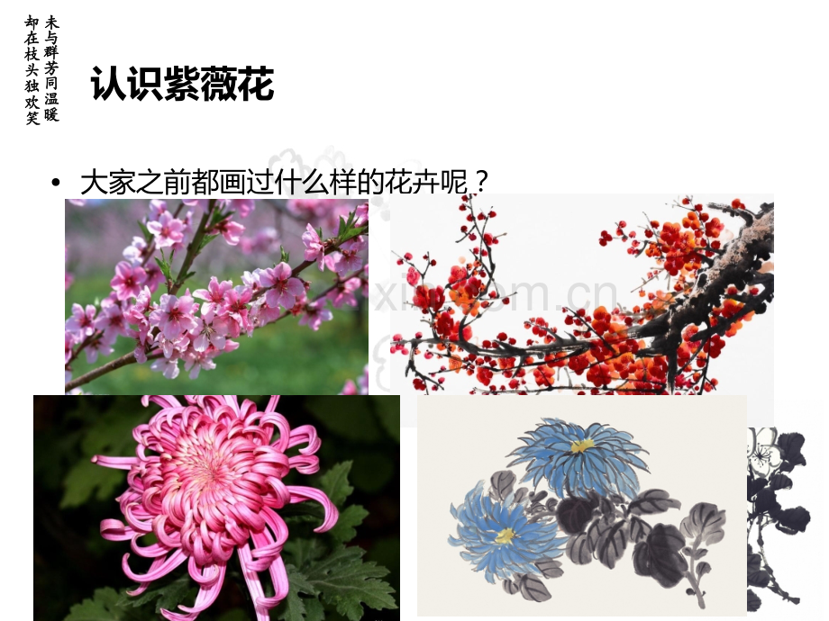 花卉写意——紫薇花.pptx_第3页