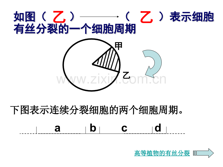 细胞的增殖修改.pptx_第3页