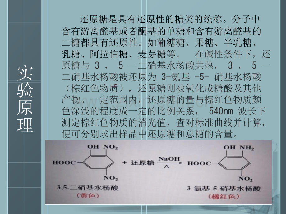 淀粉中还原糖的测定.pptx_第2页