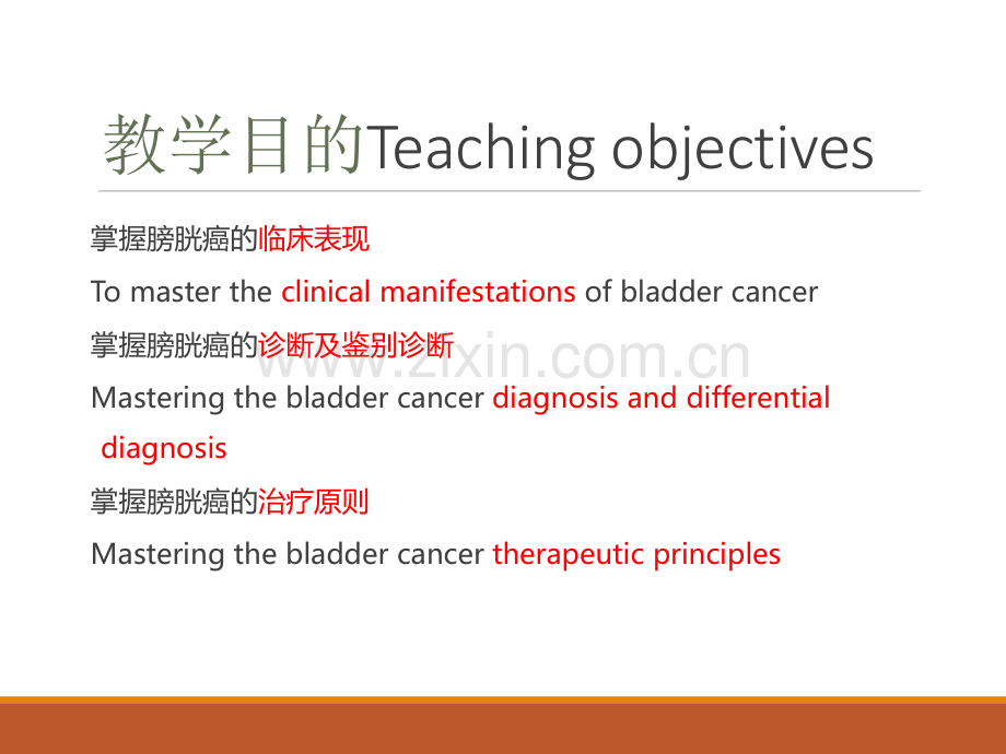 泌尿外科膀胱癌教学查房.pptx_第2页