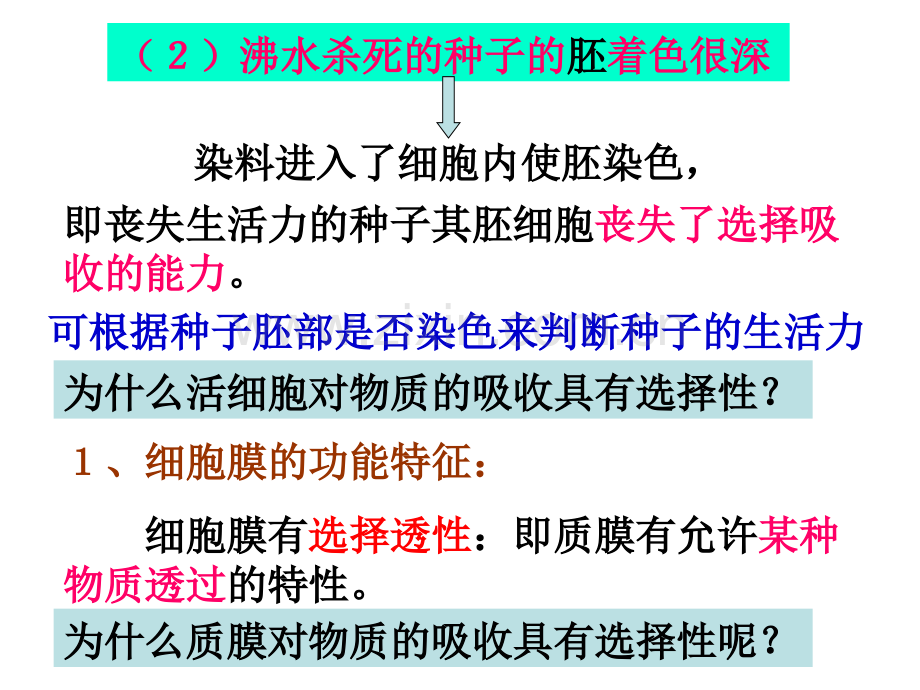 细胞膜及细胞壁.pptx_第3页