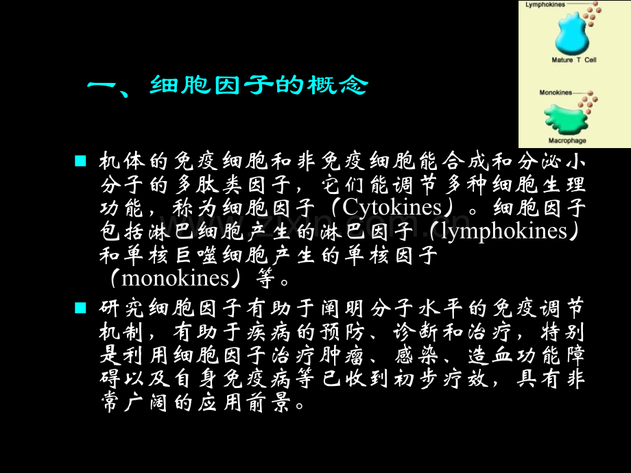 第5章细胞因子.pptx_第3页