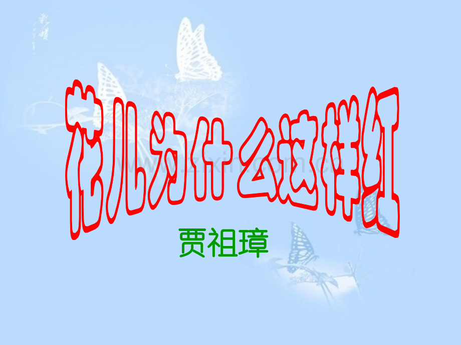 花儿为什么这样红复习.pptx_第1页