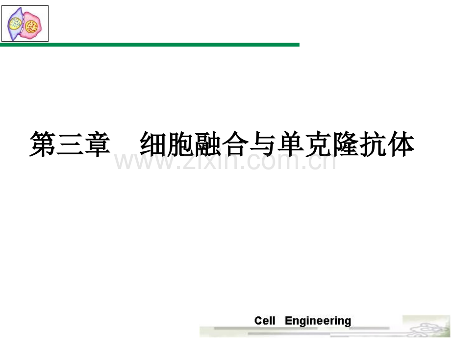 细胞融合与单克隆抗体1.pptx_第1页