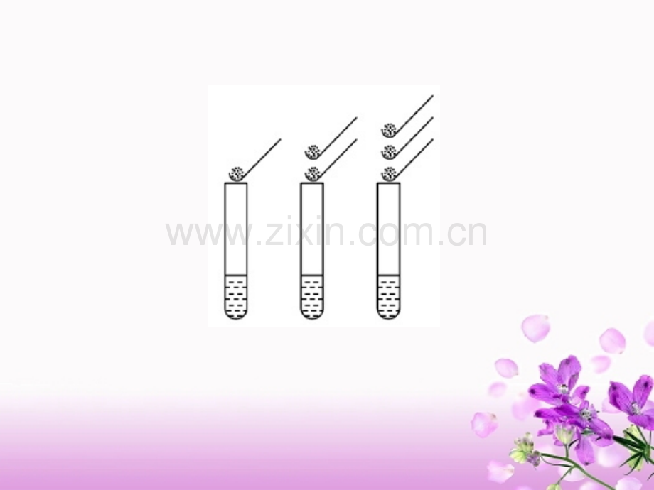 课题溶质的质量分数.pptx_第3页