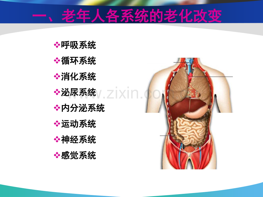 老年常见健康问题.pptx_第2页