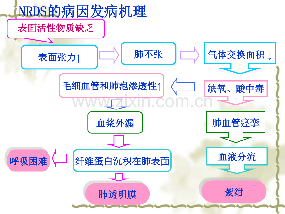 新生儿呼吸窘迫综合征.pptx_第3页