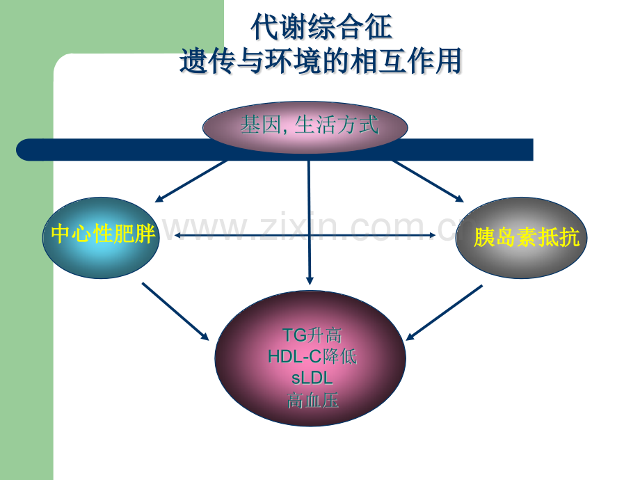 老年代谢综合征.pptx_第3页