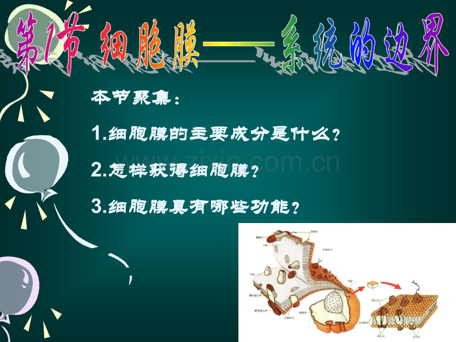 细胞的基本结构-.pptx_第2页