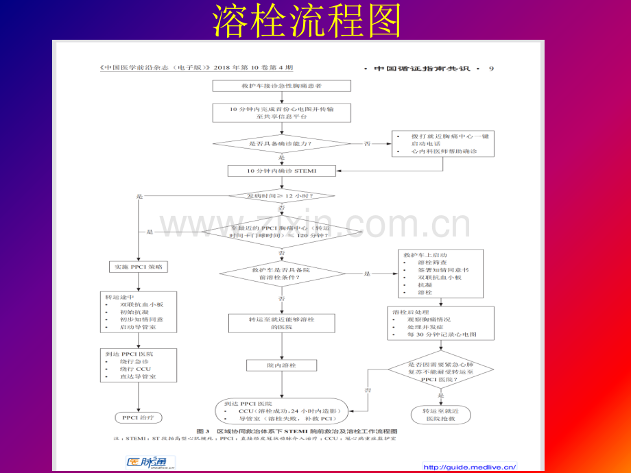 溶栓治疗的标准操作规程.pptx_第3页