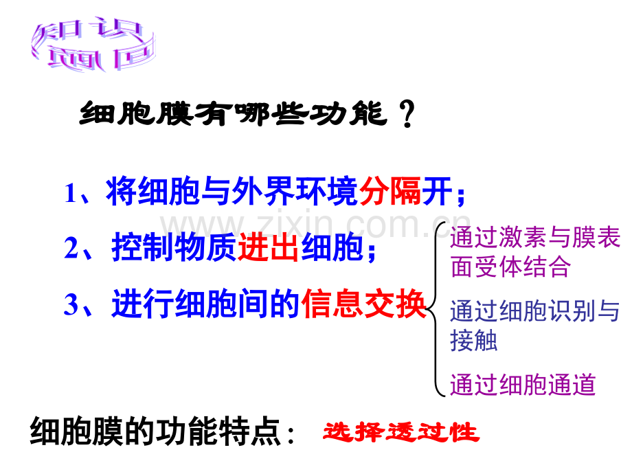 细胞膜结构模型.pptx_第3页