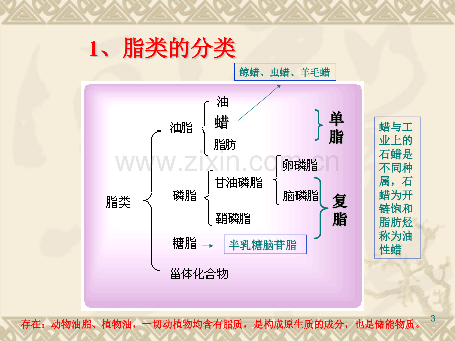 第四章脂类和生物膜.pptx_第3页