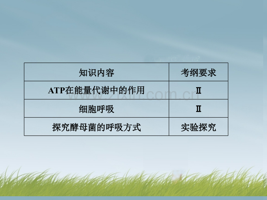 细胞的能量供应和利用12.pptx_第2页