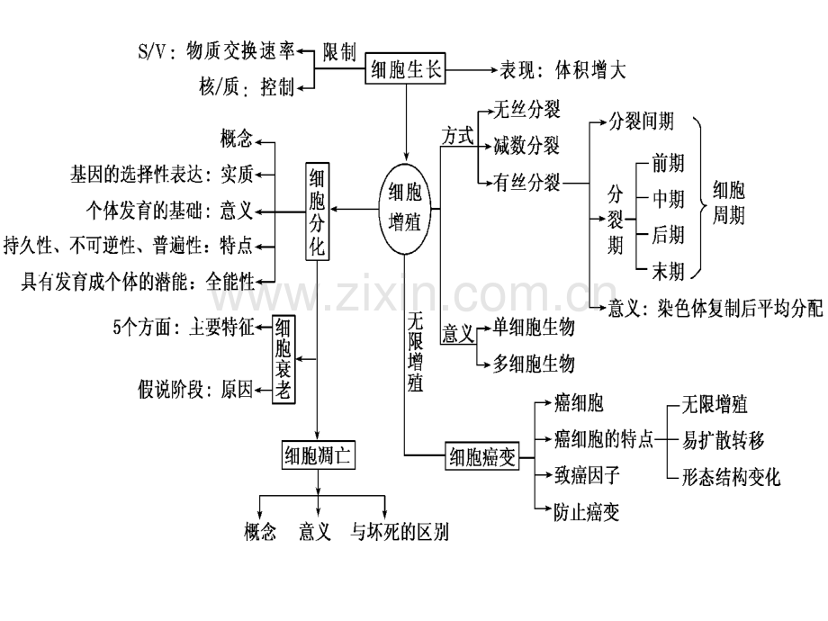 第6章细胞的生命历程.pptx_第2页