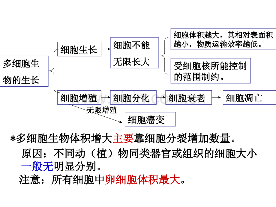 第6章细胞的生命历程.pptx_第3页