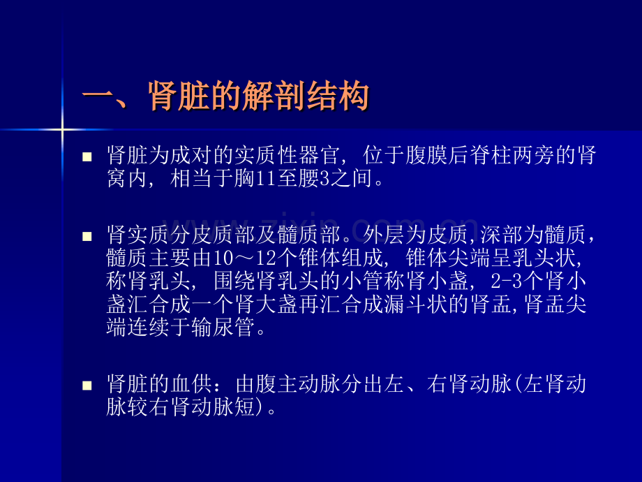 泌尿系疾病超声诊断.pptx_第3页