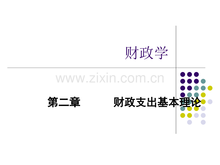 最权威财政学x精讲.pptx_第1页