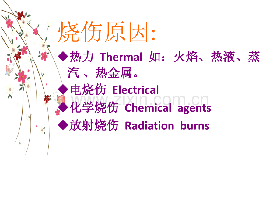 烧伤休克治疗及护理.pptx_第3页