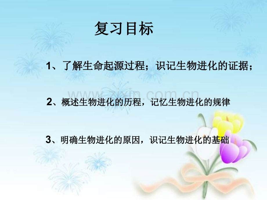 生命的起源和进化复习课课件.pptx_第3页